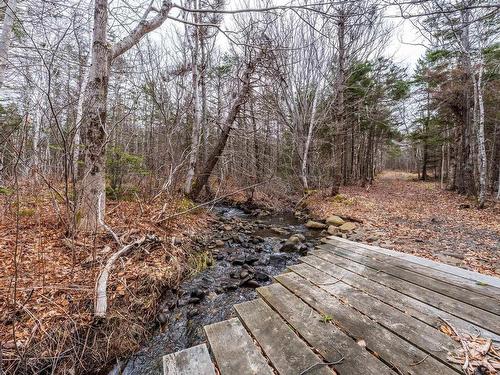 Shore Road, Litchfield, NS 