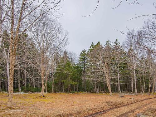 Lot Peter Leblanc Road, Meteghan, NS 
