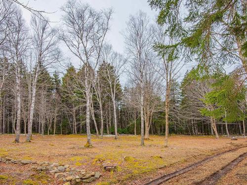 Lot Peter Leblanc Road, Meteghan, NS 