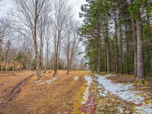 Lot Peter Leblanc Road, Meteghan, NS 