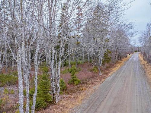 Lot Peter Leblanc Road, Meteghan, NS 