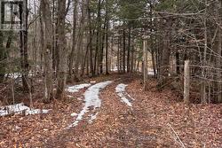 000 DUKELOW ROAD Augusta, ON K0E 1X0