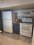 BASEMENT - 131 CENTRAL PARK BOULEVARD N Oshawa, ON L1G 5Y6