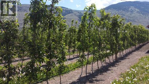 696 Lowe Drive, Cawston, BC 
