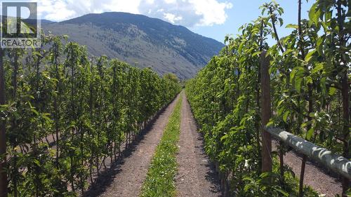 696 Lowe Drive, Cawston, BC 