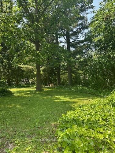 501 Boler Road, London South (South K), ON - Outdoor