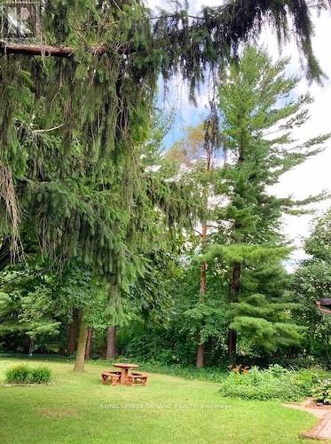 501 Boler Road, London South (South K), ON - Outdoor