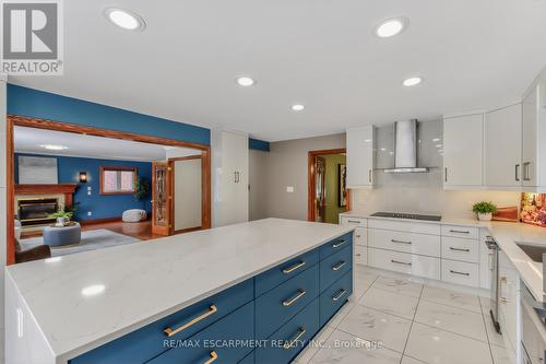 41 Candor Crescent, Hamilton, ON - Indoor Photo Showing Kitchen With Upgraded Kitchen