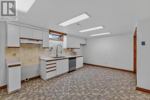 41 Candor Crescent, Hamilton, ON - Indoor Photo Showing Kitchen With Double Sink