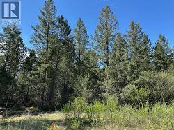 Berland Bend Windermere, BC V0A 1K3