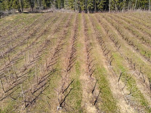 3806 38Th Avenue, Erickson, BC 