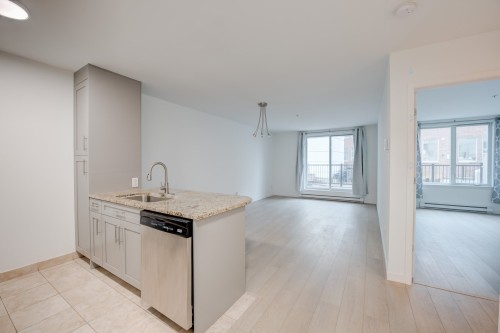 Cuisine - 219-1950 Rue De Champlain, Montréal (Ville-Marie), QC - Indoor Photo Showing Kitchen