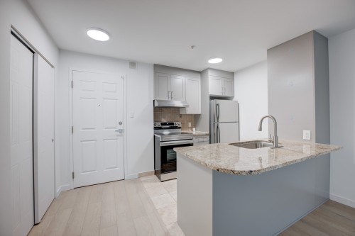 Cuisine - 219-1950 Rue De Champlain, Montréal (Ville-Marie), QC - Indoor Photo Showing Kitchen With Upgraded Kitchen