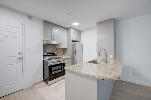 Cuisine - 219-1950 Rue De Champlain, Montréal (Ville-Marie), QC - Indoor Photo Showing Kitchen With Upgraded Kitchen