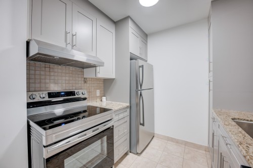 Cuisine - 219-1950 Rue De Champlain, Montréal (Ville-Marie), QC - Indoor Photo Showing Kitchen With Upgraded Kitchen