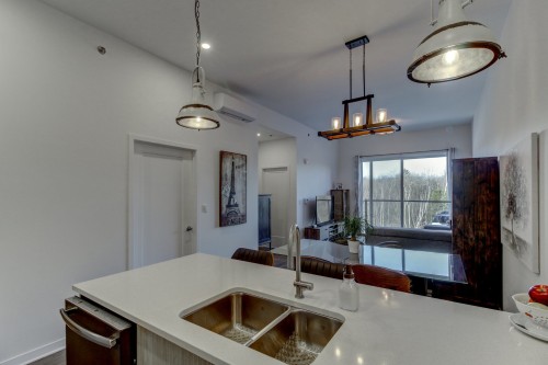 Cuisine - 405-1320 Rue Custine, Saint-Jérôme, QC - Indoor Photo Showing Kitchen With Double Sink