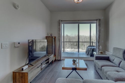 Salon - 405-1320 Rue Custine, Saint-Jérôme, QC - Indoor Photo Showing Living Room