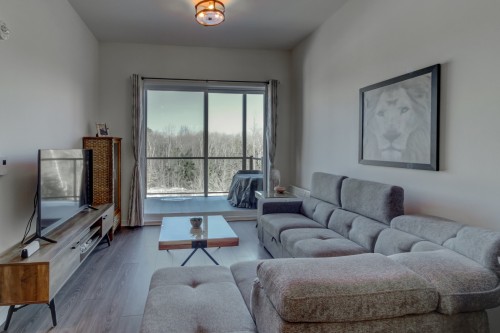 Salon - 405-1320 Rue Custine, Saint-Jérôme, QC - Indoor Photo Showing Living Room