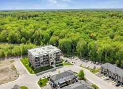 Aerial View - 