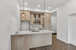 Kitchen - 