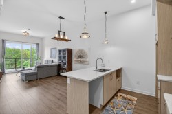 Kitchen - 