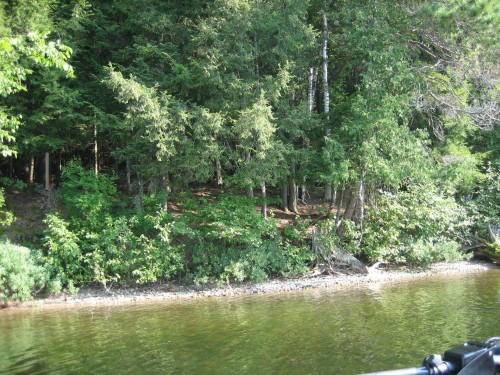 Bord de l'eau - 39 Ch. Du Flood, Lac-Du-Cerf, QC 