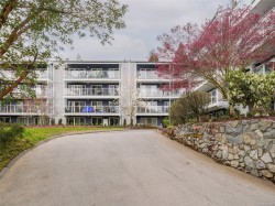 102-3277 Quadra St Saanich, BC V8X 4W9