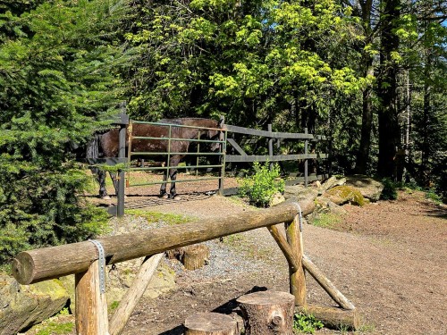 2035 Pace Rd, Nanaimo, BC 