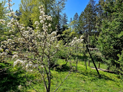 2035 Pace Rd, Nanaimo, BC 