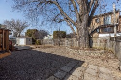 Jardin - 