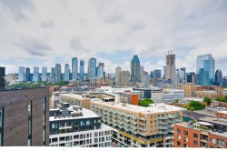 View - 