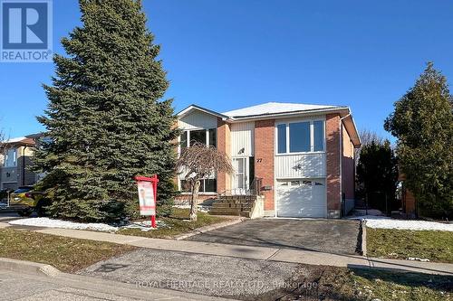 77 DEVONDALE STREET  Clarington (Courtice), ON L1E 2A1