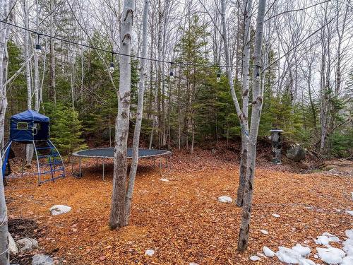 2234 Virginia Road, West Springhill, NS 