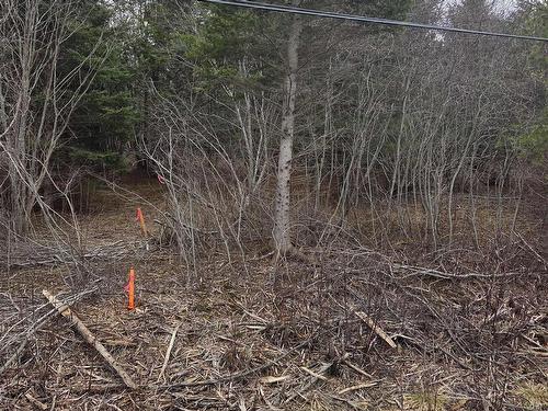 Cvm-A Highway 236, Stanley, Stanley, NS 