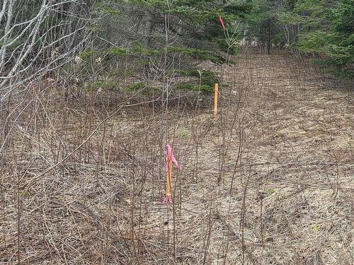 Cvm-A Highway 236, Stanley, Stanley, NS 