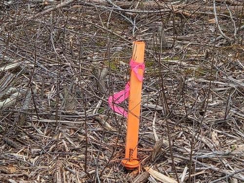 Cvm-A Highway 236, Stanley, Stanley, NS 