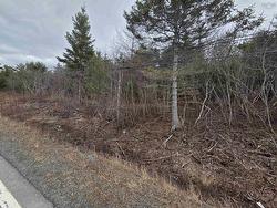 CVM-A Highway 236, Stanley Stanley, NS B0N 2L0