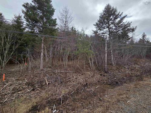 Cvm-A Highway 236, Stanley, Stanley, NS 