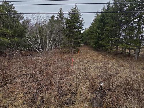 Cvm-A Highway 236, Stanley, Stanley, NS 