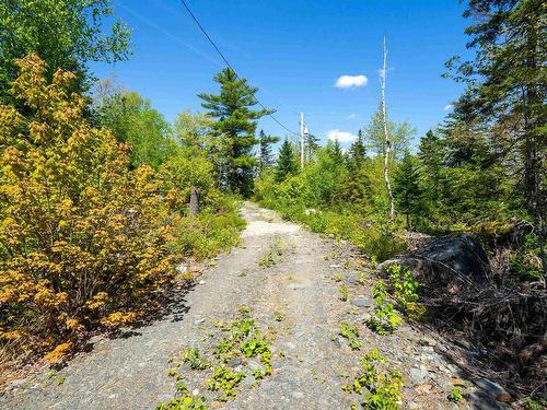 191 Charlton Road, West Springhill, NS 
