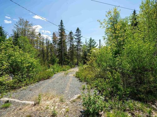 191 Charlton Road, West Springhill, NS 
