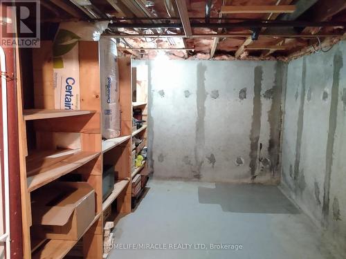 23 Heatherdale Place, Hamilton, ON - Indoor Photo Showing Basement
