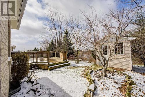 58 Shadow Falls Drive, Richmond Hill, ON - Outdoor