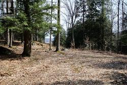 6 - 22 GRYFFIN BLUFFS LANE Huntsville (Brunel), ON P0B 1M0