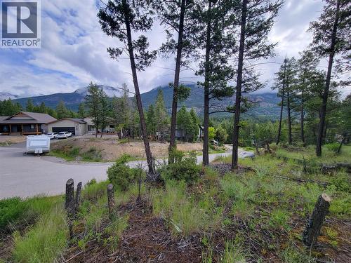 Lot 76 Copper Point Way, Windermere, BC 
