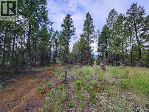 Lot 76 Copper Point Way, Windermere, BC 