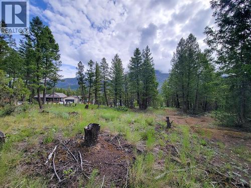 Lot 76 Copper Point Way, Windermere, BC 
