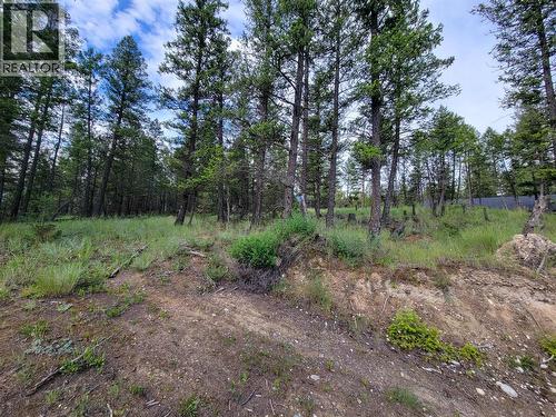 Lot 76 Copper Point Way, Windermere, BC 