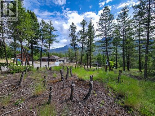 Lot 76 Copper Point Way, Windermere, BC 