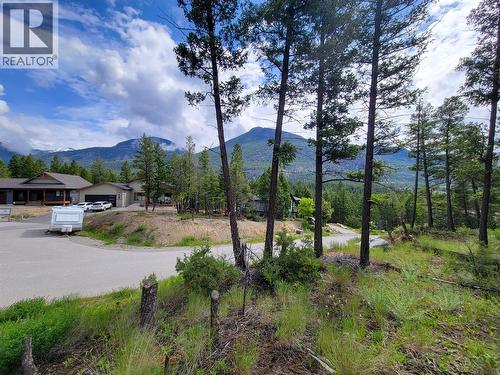 Lot 76 Copper Point Way, Windermere, BC 